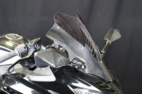 クマエーテック Ninja400/250 18~ 綾織 カーボン クマ様専用エーテック Ninja400/250 18~ 綾織 カーボン - メルカリ
