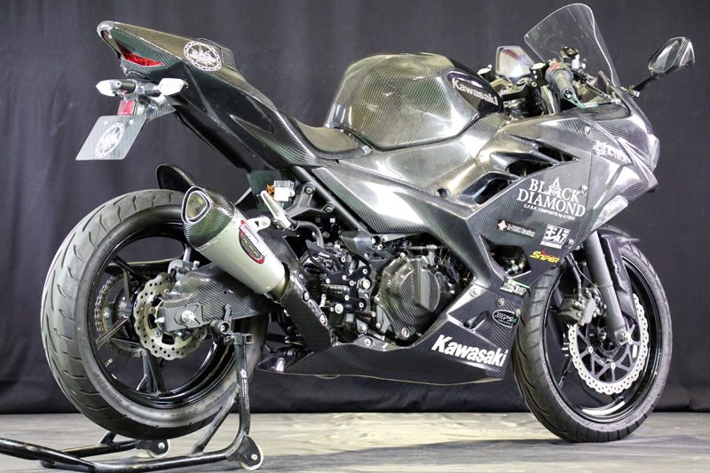 KAWASAKI// Ninja 250 (2018-) --