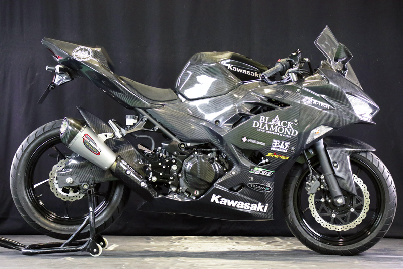 バイク用品 パーツのゼロカスタムNinja250 ニンジャ エーテック FW A バイク用品 パーツのゼロカスタムNinja250 ニンジャ エーテック FW A
