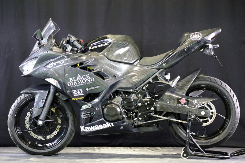 KAWASAKI// Ninja 250 (2018-) --