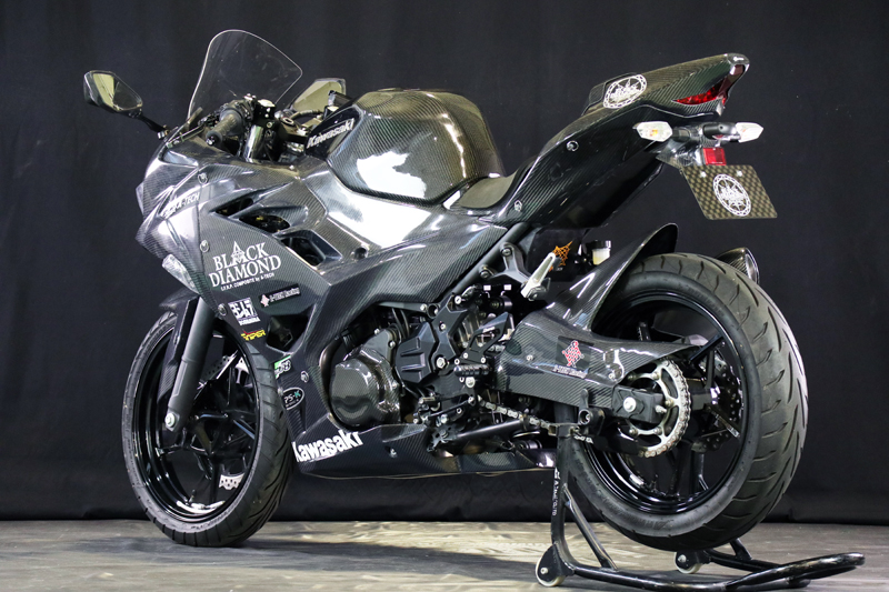 KAWASAKI// Ninja 250 (2018-) --