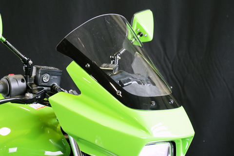 97-16 ZRX1100/1200/DAEG PROスクリーン--